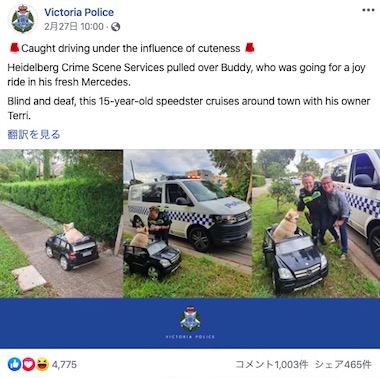 犬 ベンツ 逮捕