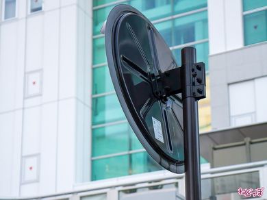 よく見ると裏板もブラウンになっている