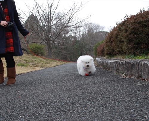 アーニーのおうち