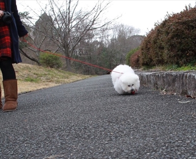 アーニーのおうち