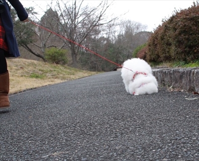 アーニーのおうち