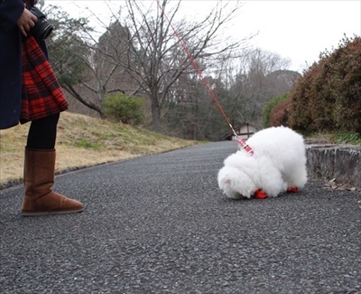 アーニーのおうち