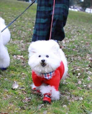 アーニーのおうち