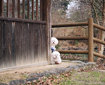 アーニーのおうち