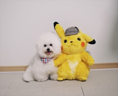 アーニーのおうち