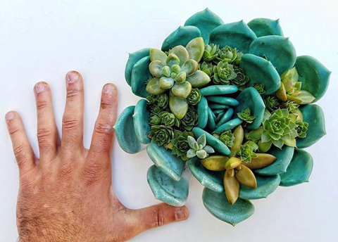 本物のような陶磁器の花