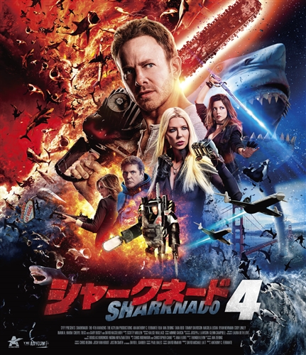 シャークネード 完全捕食パクパクパック (6枚組)  [DVD] Amazon.co.jp: 戦争映画パーフェクトコレクション 炎の戦線