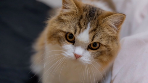 すぅさんアップ