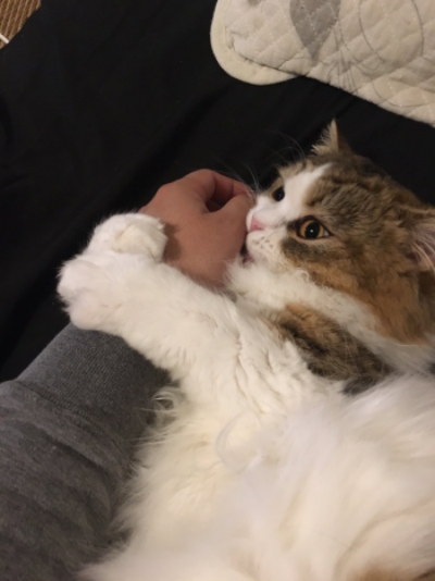 腕に抱きつくすぅさん