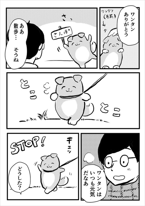いぬがいぬ