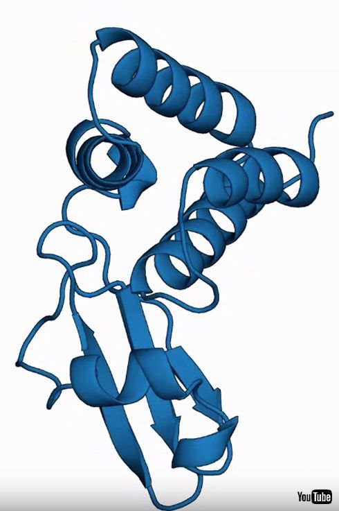 医療研究プロジェクトコロナウイルスの解析協力を呼びかけ　パソコンを起動しておくだけで参加できる
