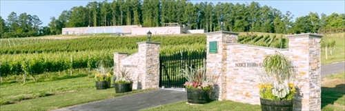 ニキヒルズナチュラルクレヨン