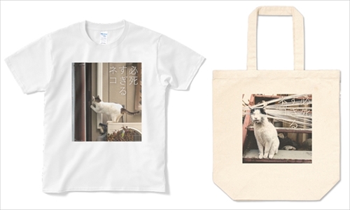 必死すぎるネコグッズ