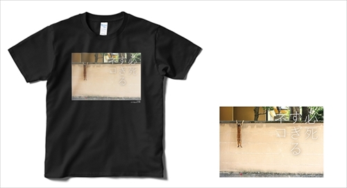 必死すぎるネコグッズ