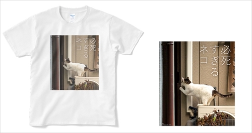 必死すぎるネコグッズ