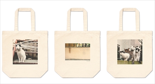 必死すぎるネコグッズ