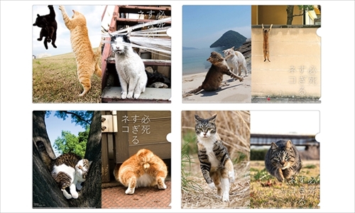 必死すぎるネコグッズ