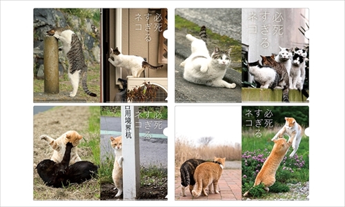 必死すぎるネコグッズ