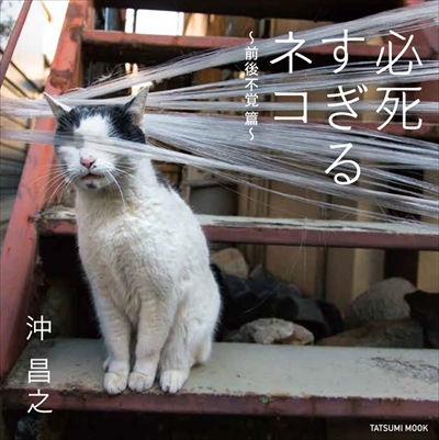 必死すぎるネコグッズ