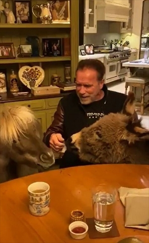 アーノルド・シュワルツェネッガーさん動画