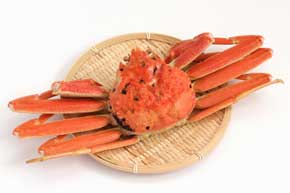 ズワイガニ お酒 ホット専用 海鮮系リキュール ZUWAIGANI KURAND クランド