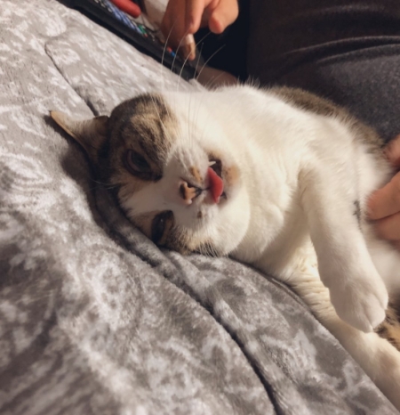 いい顔のちゃみこさん