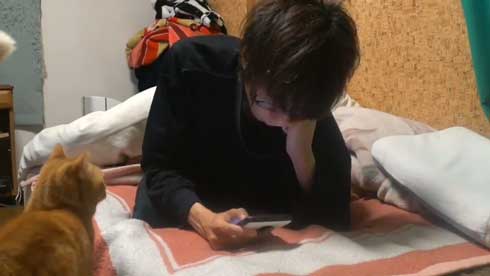 内臓を食い破るタイプ 猫 カンガルー 番長 胸元 すっぽり 侵入