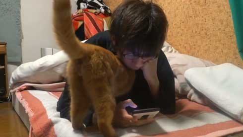 内臓を食い破るタイプ 猫 カンガルー 番長 胸元 すっぽり 侵入