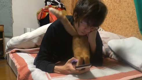 内臓を食い破るタイプ 猫 カンガルー 番長 胸元 すっぽり 侵入