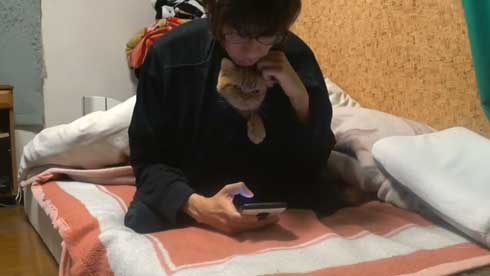 内臓を食い破るタイプ 猫 カンガルー 番長 胸元 すっぽり 侵入