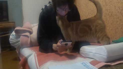 内臓を食い破るタイプ 猫 カンガルー 番長 胸元 すっぽり 侵入