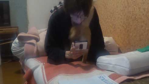 内臓を食い破るタイプ 猫 カンガルー 番長 胸元 すっぽり 侵入