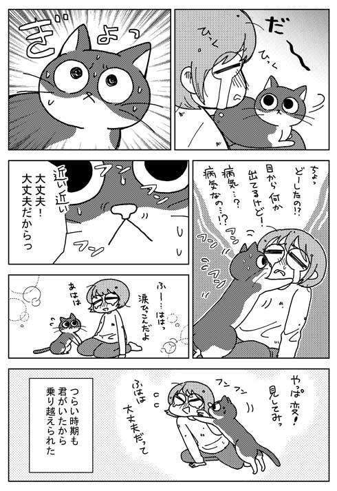 アシスタント時代 猫に心配された話 慰める 寄り添う 愛猫 漫画 若菜