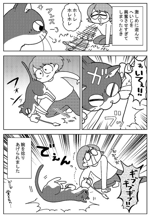 アシスタント時代 猫に心配された話 慰める 寄り添う 愛猫 漫画 若菜