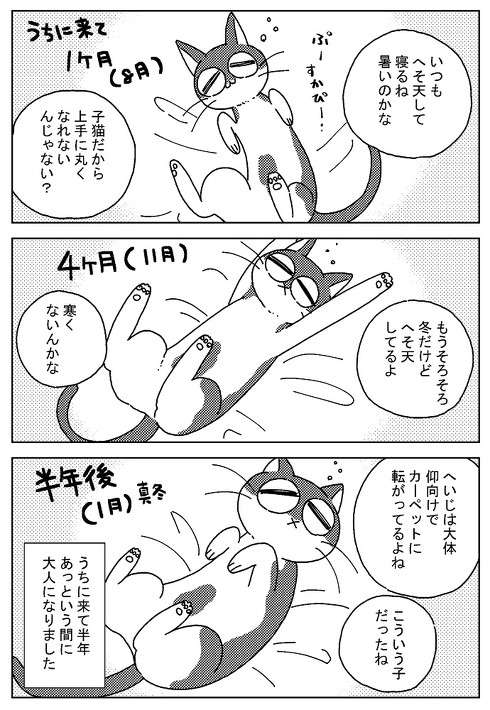 アシスタント時代 猫に心配された話 慰める 寄り添う 愛猫 漫画 若菜