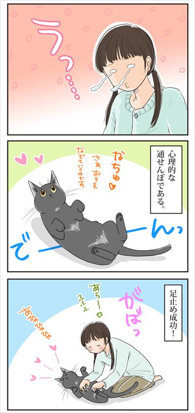 猫