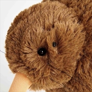 キーウィマスコット＆ぬいぐるみ