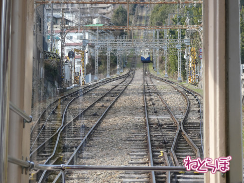近鉄 ひのとり 生駒ケーブルカー 忍者列車 しまかぜ2020年春 ダイヤ改正