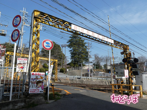 近鉄 ひのとり 生駒ケーブルカー 忍者列車 しまかぜ2020年春 ダイヤ改正