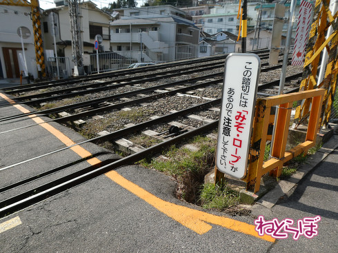 近鉄 ひのとり 生駒ケーブルカー 忍者列車 しまかぜ2020年春 ダイヤ改正
