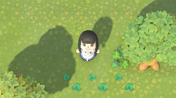 どう森マイデザ