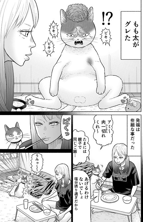 かしこい猫もも太