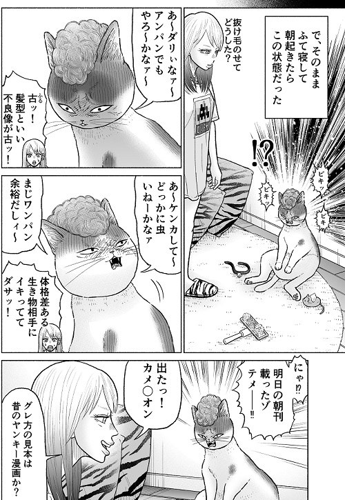 かしこい猫もも太