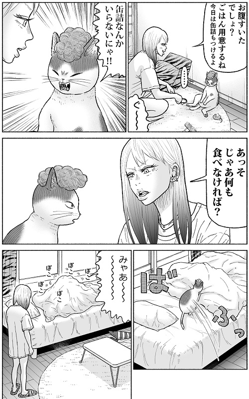 かしこい猫もも太