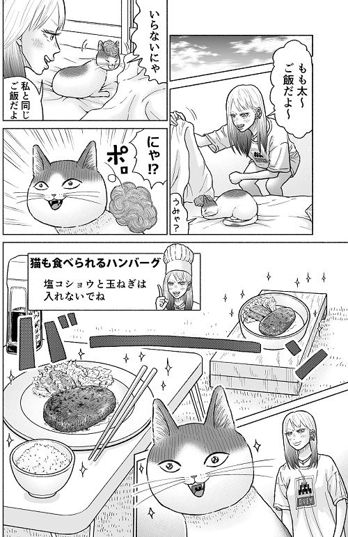 かしこい猫もも太
