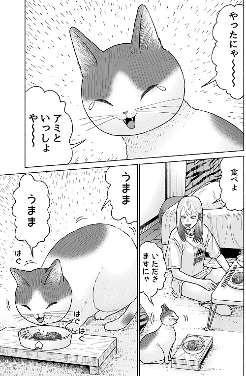 かしこい猫もも太