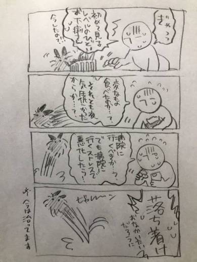 ライアン君 うさぎ 空中浮遊 跳びまくり