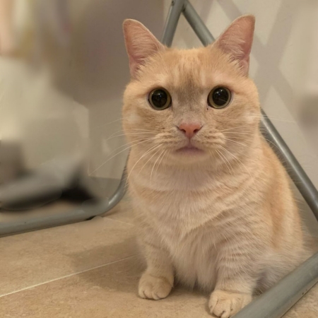 座ってカメラ目線なみゅうちゃん