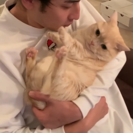 ちゅー拒否猫