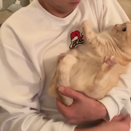 パパさんを見るみゅうちゃん